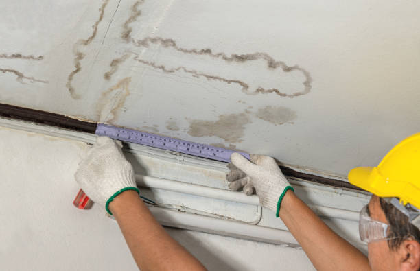 Reliable Water Damage Repair contractor in Washington, IA by Hirex Water Damage